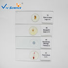Medical Lab Stage Microscope Slide  Female Mosquito Mouth Parts