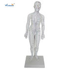 Female Medical Acupuncture 48cm Human Body Massage Model