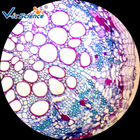 Kids School Laboratory Euipments 25pcs Microscope Glass Slides