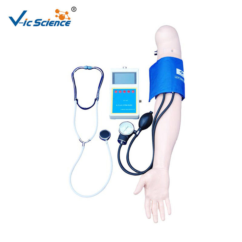 Blood Pressure Training Medical Training Manikins Medical Science Patient Care Manikin