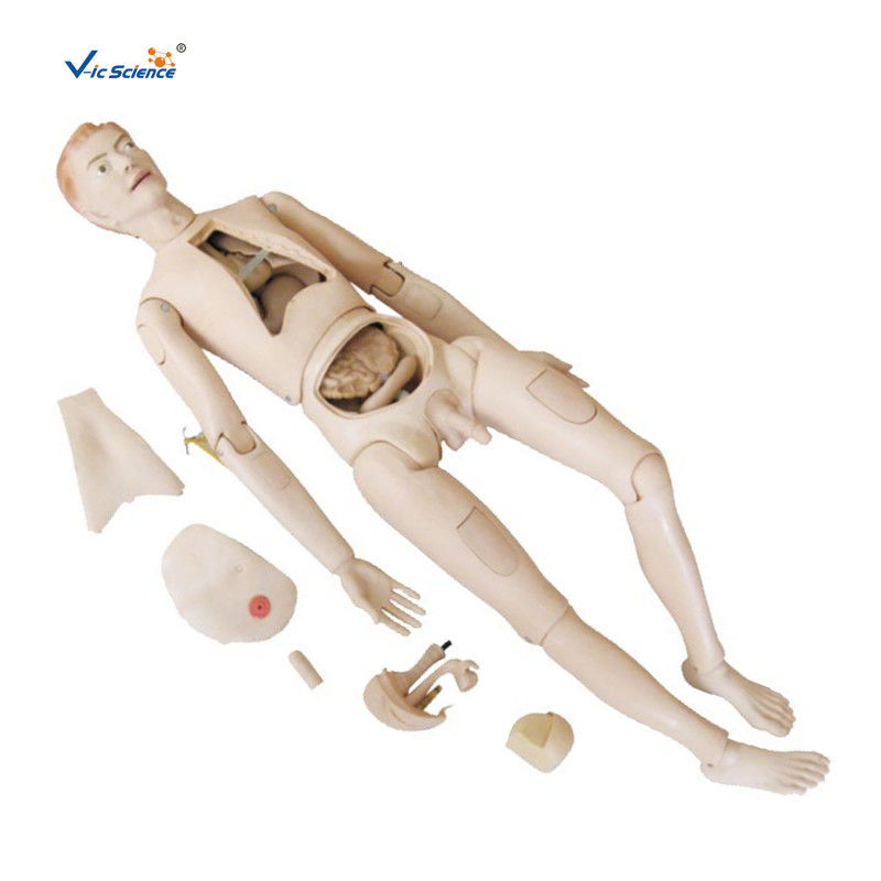 PVC Nature Size CPR Training Manikins Nurse Training Doll Male For Teachers / Doctors