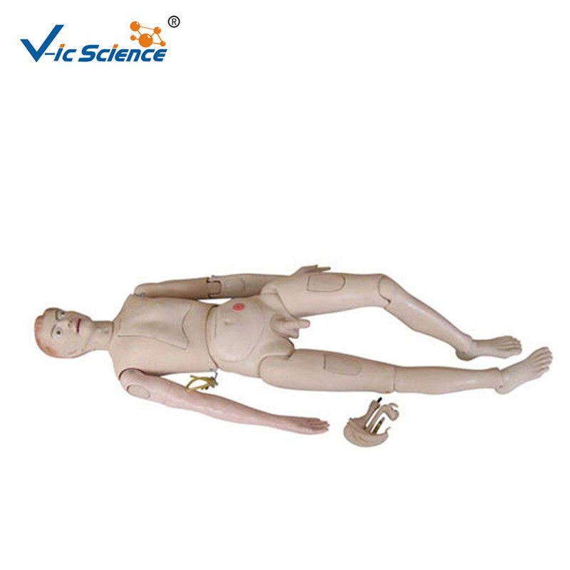 Nurse Training Doll Male Full Body Cpr Manikin For Medical School Bilological Class
