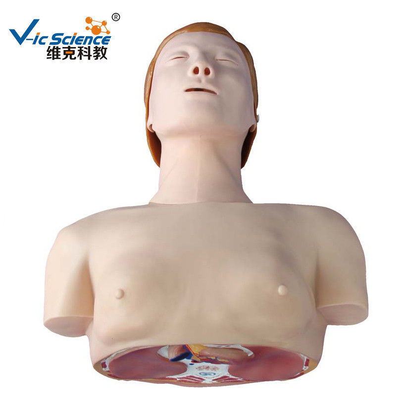 Nature Size Basic Half Body CPR Training Manikins Medical Models For Teaching