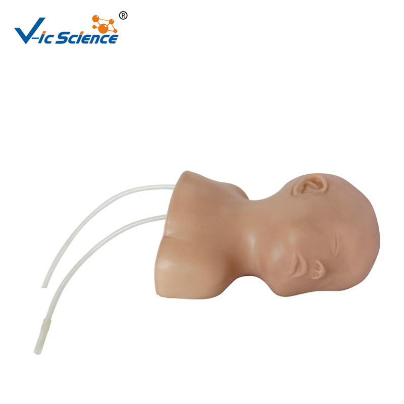 Neonate Scalp Venipuncture Model Baby Model Medical Manikins With Nature Size