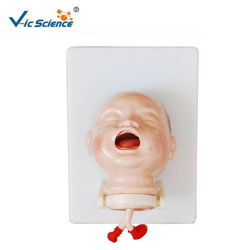 Medical Nursing Skills Training Model of Newborn Intubation Baby Model