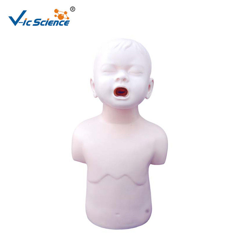 Child Nursing Training Doll Eco Friendly PVC Medical Science Model